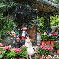 「2021桃園繡球花季」賞花美景、農事體驗及美食通通有