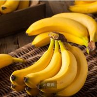 為減經蕉農負擔　「香蕉收入保險」販售至5/14