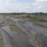 卑南溪降水量少4成 河床裸露風飛沙鋪天蓋地