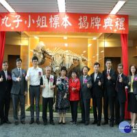 歡慶56週年校慶　崑山科大亞洲象骨骼標本「丸子小姐」揭牌