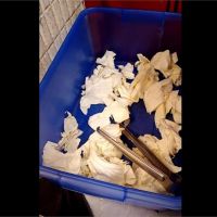 高麗菜刀切變黑怎解？神人秒答「7字口訣」背起來！