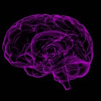 【名家論壇】帕金森氏症與粒線體失能的關係 – 從被活化的大腦神經微膠細胞中的發炎小體談起