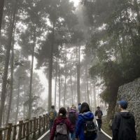 睽違12年　藤枝國家森林遊樂區重新開園