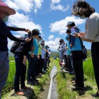水利署發表「水稻智慧間歇灌溉」 節水還能還水於河