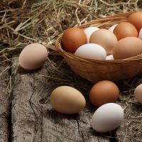 【食物大百科】紅雞蛋vs白雞蛋哪個比較營養？一天到底可以吃幾顆蛋？只吃蛋白真的比較好嗎？