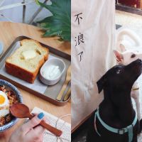 台南寵物友善餐廳Top5!美味早午餐、 招牌「寵物餐」樣樣有,假日跟毛小孩約會去吧!