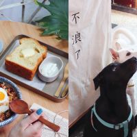 台南寵物友善餐廳Top5！美味早午餐、 招牌「寵物餐」樣樣有，假日跟毛小孩約會去吧！