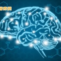 新冠患者曾高燒或氧氣治療　研究發現大腦灰質體積減少