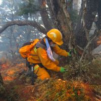 玉山森林大火燒12天終於滅了  林務局嗆絕對求償