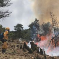 玉山森林大火終滅了 林務局向肇事者求償上千萬