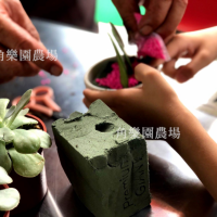 【桃園八德】休閒農場 | 多肉植物 | 角樂園農場