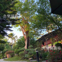 【桃園八德】休閒農場 | 大樹爺 | 角樂園農場