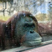 壽山動物園整裝再出發 五月起休園暫別遊客