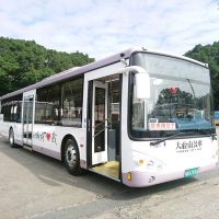 3級警戒延長公共運輸降載 大台南公車減班因應