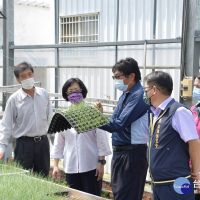 王惠美下鄉關懷農業產業　參訪博華蔬菜育苗場