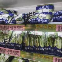大雨青菜產量減價揚　青江菜漲幅逾5倍