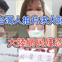 影／百名台灣人喊話求中國疫苗　小粉紅狂批：真好意思