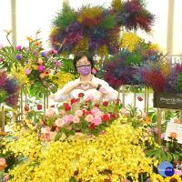 支持花農　彰縣在13個公共空間打造療癒花卉展示 