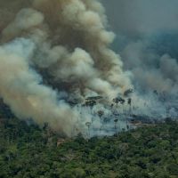 地球之肺哭了 巴西亞馬遜遇2007年來最慘6月大火