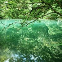 【趣吧】淡蘭古道北路、中路、南路|3區域健行路線大解析x生態美景一次看!