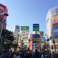 快新聞／日本東京發布第4度緊急事態宣言　期程涵蓋東奧