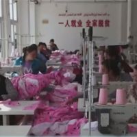 快新聞／新疆棉風暴　中國仍聲稱「強迫勞動」問題完全違背事實