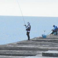 台中港北堤海釣微解封　戶外「海釣場」卻不開放