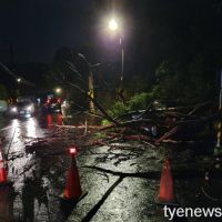 【有片】強風豪雨折斷路樹 壓毀自小客影響交通