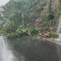 「烟花」環流釀災 行道樹遭吹倒砸中路過汽車