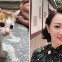 郁方「養貓起大厝」收編罕見貓要價2千萬日幣！