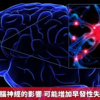 新冠病毒對腦神經的影響 可能增加早發性失智罹患風險
