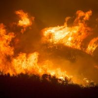 水災、熱浪、野火不斷 世界各國展開線上氣候科學協商