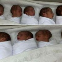 26歲女產9胞胎！一天用百片尿布  2個多月花近4000萬