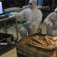 南科"人骨典藏庫" 3D掃描重現古代墓葬