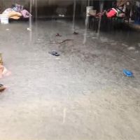 防淹水!伸港鄉備200沙包 三合院慘再淹
