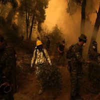 希臘、土耳其野火肆虐　聯合國警告氣候變遷加劇