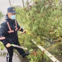 淹水樹倒車故障　北港警交管推車為民服務