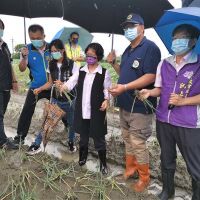 彰化縣農漁損失高達661.5萬元 提醒農民要先拍照存證