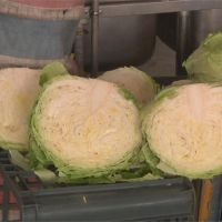 豪雨重創中南部蔬菜產區 到貨量少價飆漲