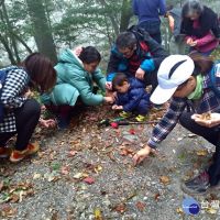 「植物公民科學家」主題活動　觀霧國家森林遊樂區登場
