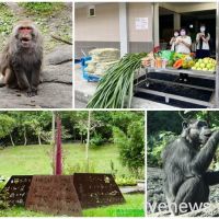 【有片】台北動物園首辦線上「慰靈祭」緬懷往生動物