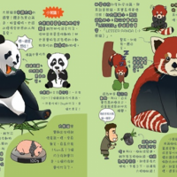 大小熊貓傻傻分不清？「功夫熊貓」中的師父居然是小熊貓