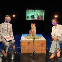 視網膜攜愛犬上節目談「台灣零浪浪」目標 現場公民提建議