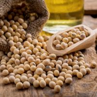 【營養師解析】「美國黃豆營養成分全攻略」帶你一次了解美國黃豆的營養價值！