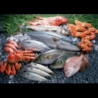 食材採購指南: 魚眼魚鰓已無法判斷新鮮度 | 健康達人網