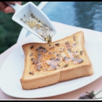 來點不一樣的「薰衣草蜂蜜」｜台灣好食材