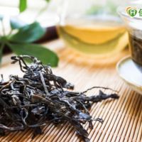 研究：普洱茶湯有助防止蛀牙　興大開發國內首見2茶新品