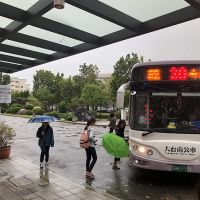 公車乘客回來了 開學後運量成長3成 每日再增199班次