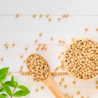 【營養師解析】促進健康，你可以選擇植物性蛋白飲食！ 瞭解黃豆與豆製品的保健功效有哪些？