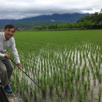 【宜蘭高鐵2】高鐵效應地價大漲 農民只想種純淨稻米